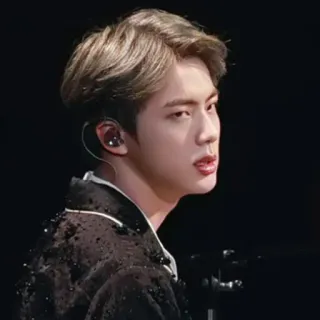 ✨ Jin K-pop, Penyanyi, Idol, Korea, Musik, BTS, Jin whatsapp sticker