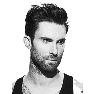 😒 Adam Levine знаменитость, певец, музыкант, портрет, чёрно-белое, мужчина whatsapp sticker