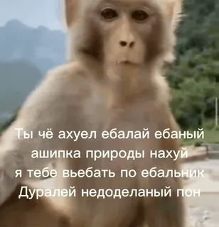 💀 Ты чё ахуел ебалай ебаный
ашипка природы нахуй
я тебе вьебать по ебальник
Дуралей недоделаный пон monyet, menghina, rusia, meme telegram sticker