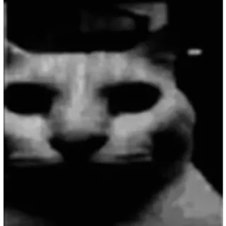 😨