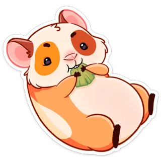 🌭 porcellino d'India, roditore, animale, carino, animale domestico, cavia telegram sticker