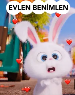 ❤️ Snowball The Secret Life of Pets EVLEN BENIMLEN 스노우볼, 토끼, 사랑, 하트, 프로포즈, 마이펫의 이중생활, 귀여운 whatsapp sticker