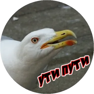 Angry @stickersb2b telegram stickers