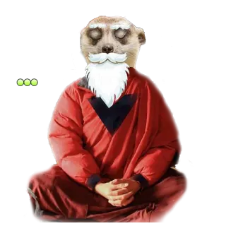 🚶 suricato, meditação, zen, animal, engraçado, pacífico telegram sticker