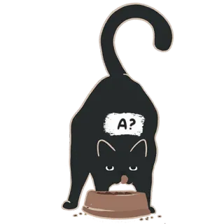 😒 A? cat, question, pet, animal, food whatsapp sticker