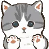 🐾