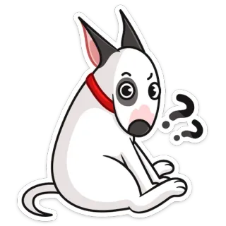 ❓ chien, bull terrier, dessin animé, points d'interrogation, animal, animal de compagnie whatsapp sticker