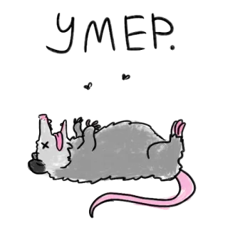 💀 Opossum, Binatang, Pura-pura mati, Kartun, Lucu, Stiker telegram sticker