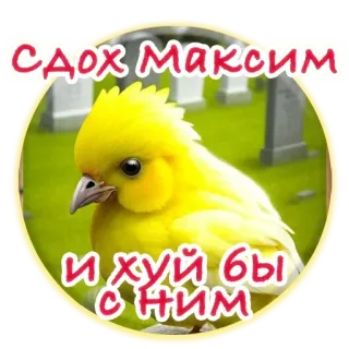 😏 СДОХ МАКСИМ
И ХУЙ БЫ С НИМ птица, русский, оскорбительный telegram sticker