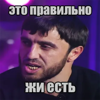 🤙 ЭТО ПРАВИЛЬНО
ЖИ ЕСТЬ telegram sticker