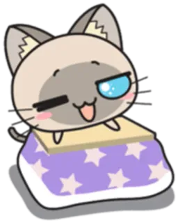 😉 cat, kawaii, cute, animal, cartoon, sticker whatsapp sticker