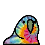 🦜 papegaai, tie dye, dier, vogel, kleurrijk, sticker telegram sticker