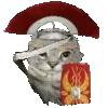 🛡