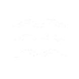 🌊