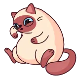 🥵 gato, animal, fofo, desenho animado, adesivo whatsapp sticker
