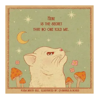 ✨ HERE
IS THE SECRET
THAT NO ONE TOLD ME.
POEM:NIKITA GILL. ILLUSTRATED BY: SNAKES.N.ROSES cat, moon, stars, secret, Nikita Gill, Snakes N Roses, poem, illustration telegram sticker