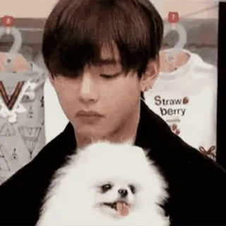 🎈 Strawberry homem, cachorro, animal de estimação, fofo, morango, camiseta, K-pop telegram sticker