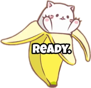 🖐 READY. 고양이, 바나나, 귀여운, 준비된, 동물, 카와이 telegram sticker