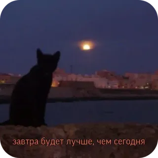 😔 завтра будет лучше, чем сегодня cat, moon, night, city, hope, tomorrow whatsapp sticker