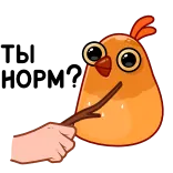 🤨 pássaro, pau, fofo, desenho animado, laranja telegram sticker