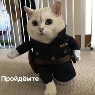 👮‍♀️ Пройдёмте แมว, ตำรวจ, เครื่องแบบ, สัตว์, มีม, ตลก, รัสเซีย telegram sticker