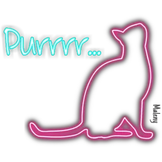 😸 Purrrr... cat, neon, purr, animal, sticker, cute whatsapp sticker