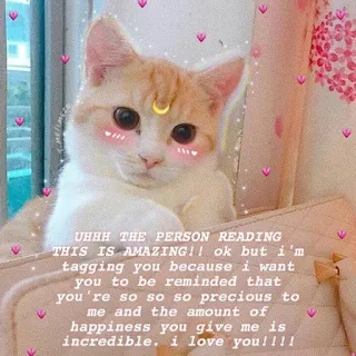 ❤️ UHHH THE PERSON READING
THIS IS AMAZING!! ok but i'm
tagging you because i want
you to be reminded that
you're so so so precious to
me and the amount of
happiness you give me is
incredible. i love you!!!! chat, mignon, amour, adorable, positif, sain, gentil telegram sticker