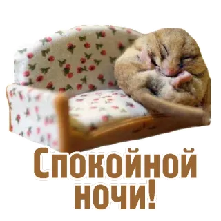 💤 СПОКОЙНОЙ НОЧИ! animale che dorme, ghiro, buonanotte, riposo, carino, sonno telegram sticker
