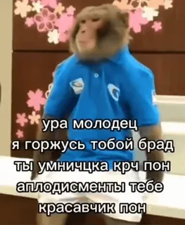 🙌 ура молодец
Я горжусь тобой брад
ты умничцка крч пон
аплодисменты тебе
красавчик пон ลิง, สัตว์, ให้กำลังใจ, คำชม whatsapp sticker