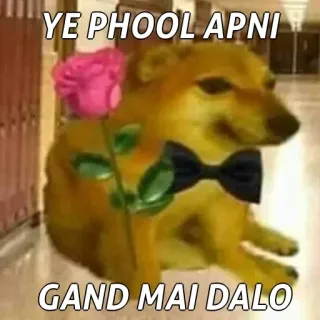 🙂 YE PHOOL APNI
GAND MAI DALO doge, dog, meme, offensive, flower, bow tie telegram sticker