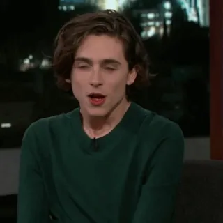 💎 Timothée Chalamet diễn viên, người nổi tiếng, Timothée Chalamet, talk show telegram sticker