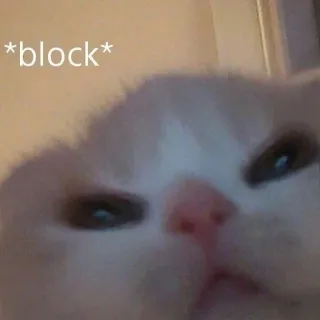 📱 *block* Katze, Tier, Meme, Block telegram sticker