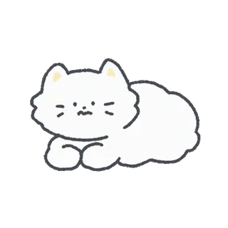 💬 chat, blanc, mignon, animal, chaton, animal de compagnie, duveteux whatsapp sticker