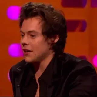 🌸 Harry Styles musicien, chanteur, célébrité, harry styles telegram sticker