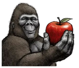 🍎 gorila, macaco, maçã, fruta, primata, animal telegram sticker