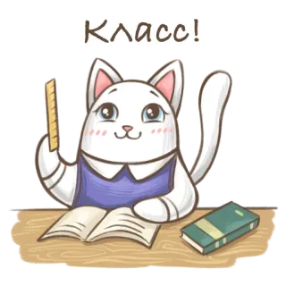 🐱 Класс! cat, school, book, desk, ruler, sticker, anime telegram sticker