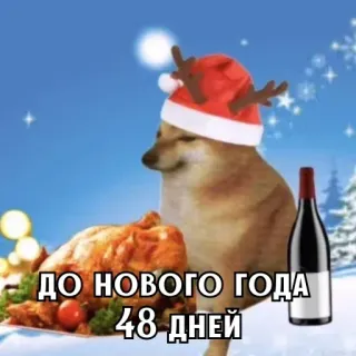 🎄 ДО НОВОГО ГОДА
48 ДНЕЙ noël, chien, mème, nouvel an, vacances, fête whatsapp sticker