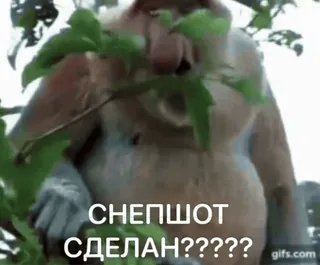 🤯 СНЕПШОТ СДЕЛАН????? telegram sticker