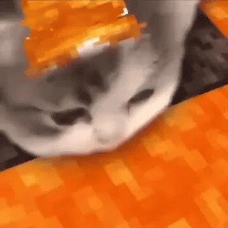 😋 cat Minecraft cat, minecraft, lava, meme, cute, funny, gaming, pixel telegram sticker