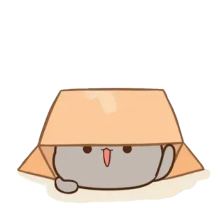 😉 cat, box, cute, animal, cartoon whatsapp sticker