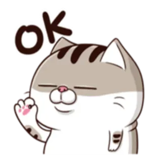👌 ok 猫, かわいい, OK, 承認, ハッピー telegram sticker