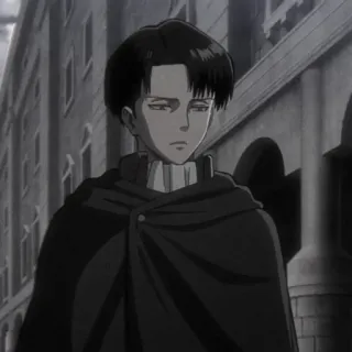 📷 Levi Ackerman Attack on Titan anime, character, levi ackerman, attack on titan telegram sticker