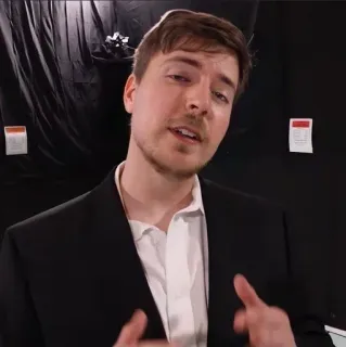 🌟 MrBeast youtuber, mrbeast, businessman, suit telegram sticker