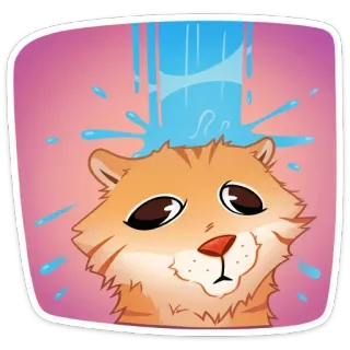 😐 kot, kociak, zwierzę, zwierzak, woda, prysznic, słodki telegram sticker