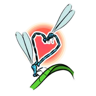 💑 libélula, coração, amor, inseto, natureza, gráfico telegram sticker