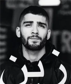 👀 Zayn Malik زين Zayn Malik, singer, celebrity, portrait, black and white telegram sticker