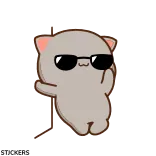 😃 chat, lunettes de soleil, mignon, animal, dessin animé, danse whatsapp sticker