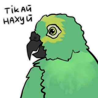 🏃‍♂️ Тікай нахуй Papagei, beleidigend, Aufkleber, Vogel, fluchen, ukrainisch whatsapp sticker