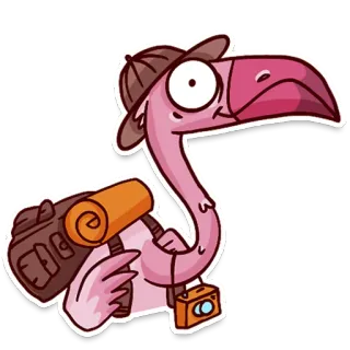 🧳 flamingo, pássaro, viagem, desenho animado, animal, aventura, chapéu, câmera telegram sticker