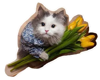 🐱 gato, flores, tulipanes, gatito, animal, lindo, mascota telegram sticker